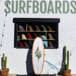 Almond X Chomp | Rover Model -Almond Surfboards 2E1A1022