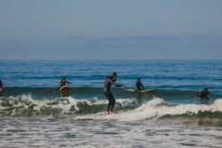 Almond X KBut | Mega Beach Chicken -Almond Surfboards 2E1A3814