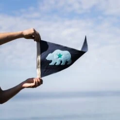 Slightly Choppy <br> California Bear Flag -Almond Surfboards 7Z4A2704