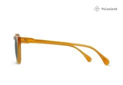 Remmy Sunglasses | Raen -Almond Surfboards RAEN REMMY Honey Polarized 03 1296x.progressive 0e28890c 9c96 474a b7bf ec61bb8c0c1e