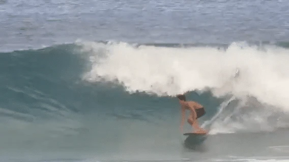 The Joy 2 The Joy - Image 2