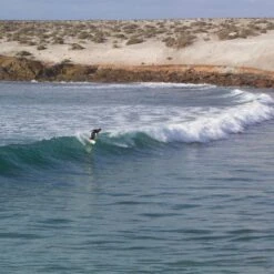 Almond X Chomp | Rover Model -Almond Surfboards conner rover mex 001 f23d3862 523f 44fb 8b10 d3b41701947f