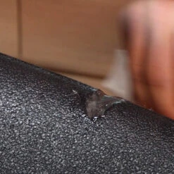 R-Series Repair Kit 7 R-Series Repair Kit -Almond Surfboards foam damage ding